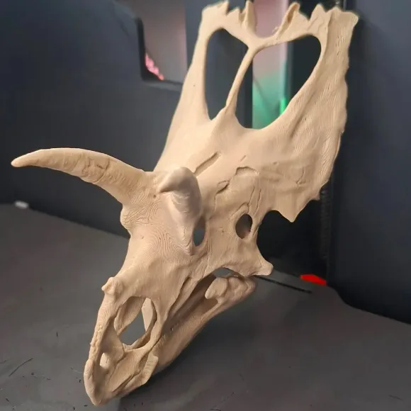 Coahuilaceratops impreso en 3D por Tiny 3DL